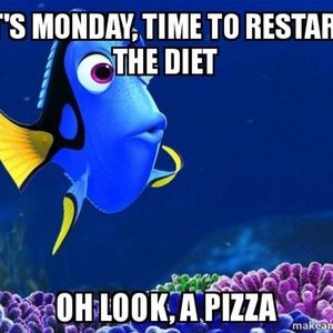 Meet your Posher, Rosa